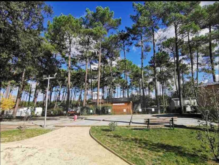 Vacances Sous Les Pins, Pres De La Mer, 6-8 Pers,Bien Equipe, Piscine Saint-Julien-en-Born Exterior photo